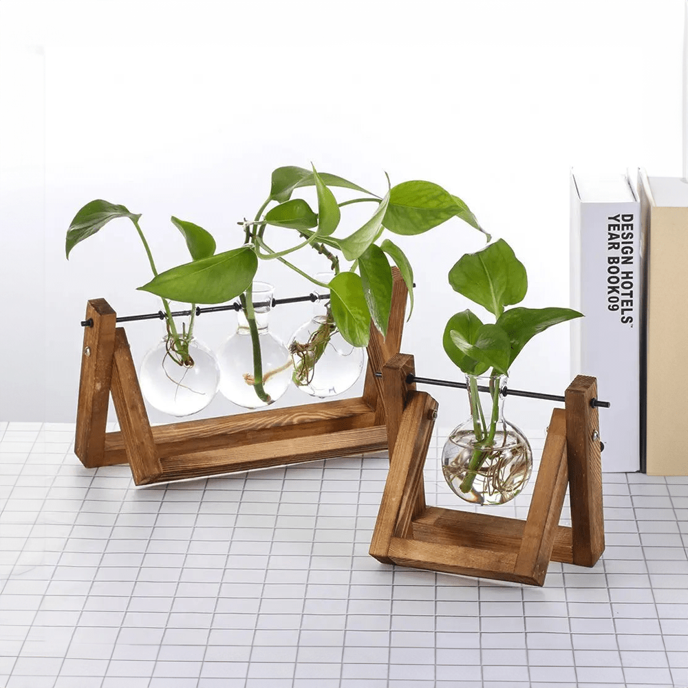 Hydroponic Glass Terrarium Tabletop Trays - The House Of BLOC