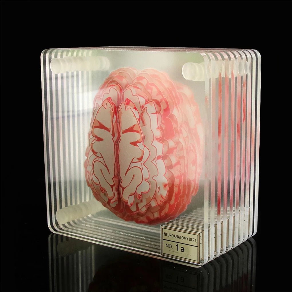 Ten Piece Brain Coaster Set - The House Of BLOC